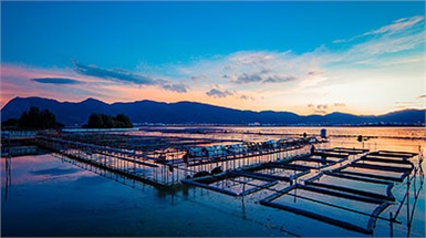 湖南省沅江市福利渔网加工厂免费为用户提供技术支持
