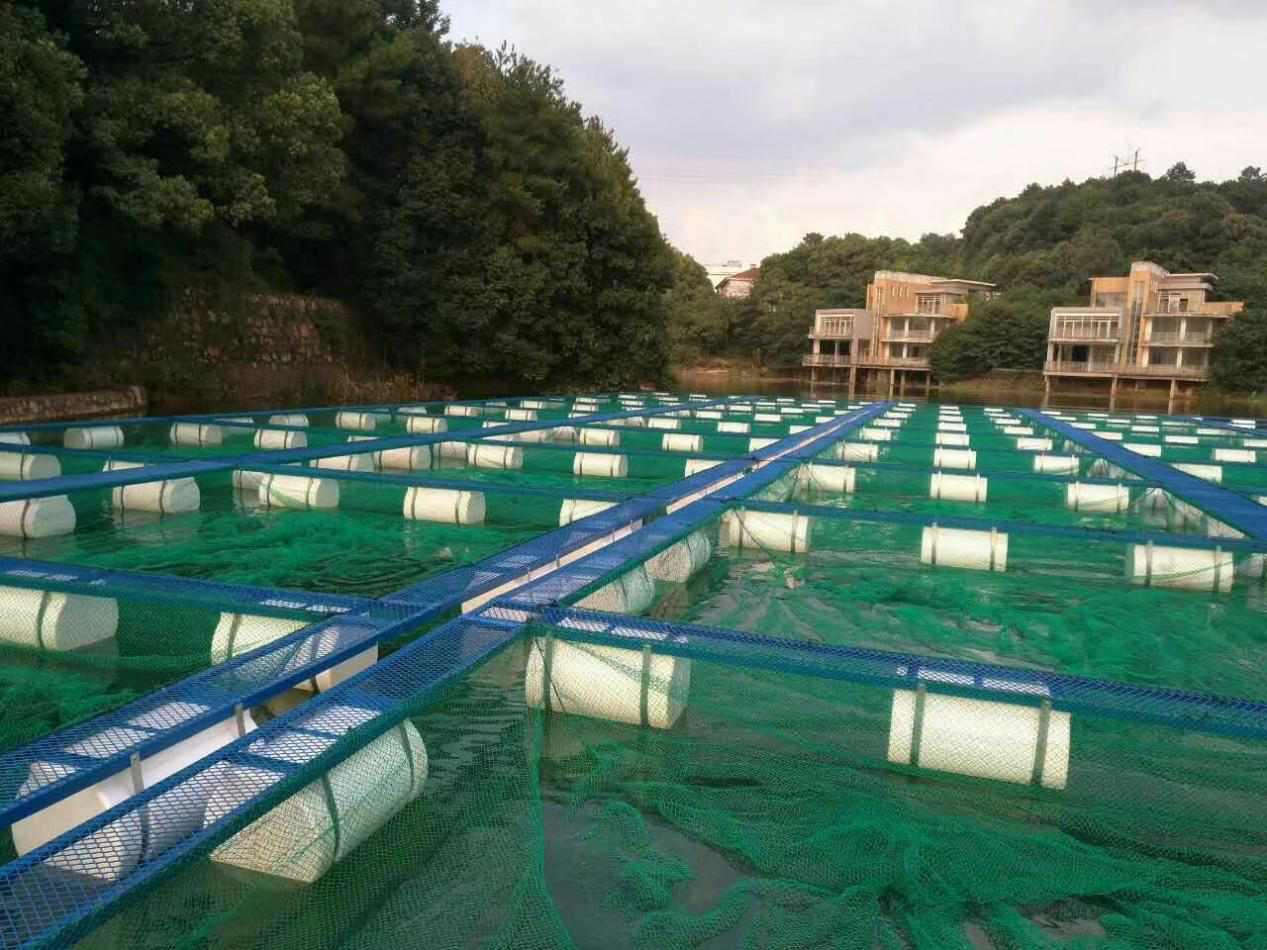 工厂化循环水养殖鱼池小型环保PP鱼池 锥底排污效果好-阿里巴巴